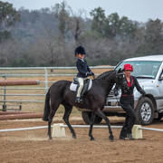 2nd Australian Arabian Youth National Championships