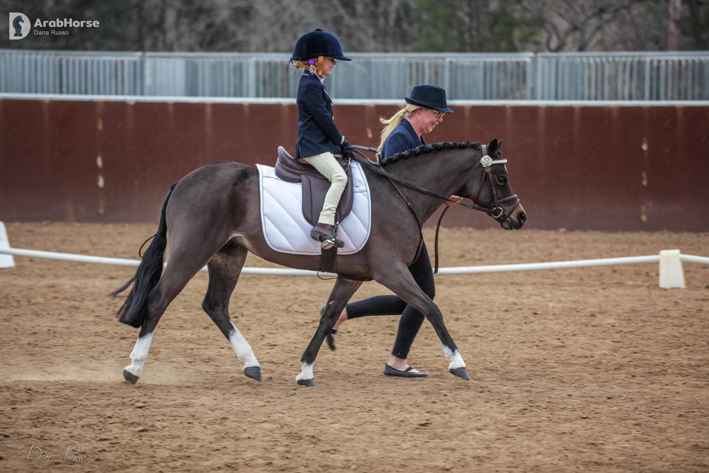 2nd Australian Arabian Youth National Championships