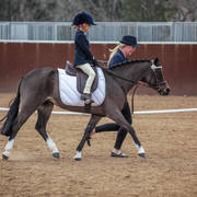 2nd Australian Arabian Youth National Championships