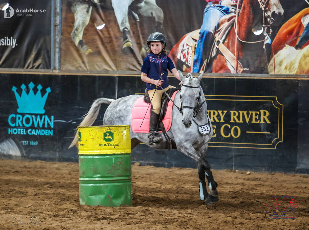 2nd Australian Arabian Youth National Championships
