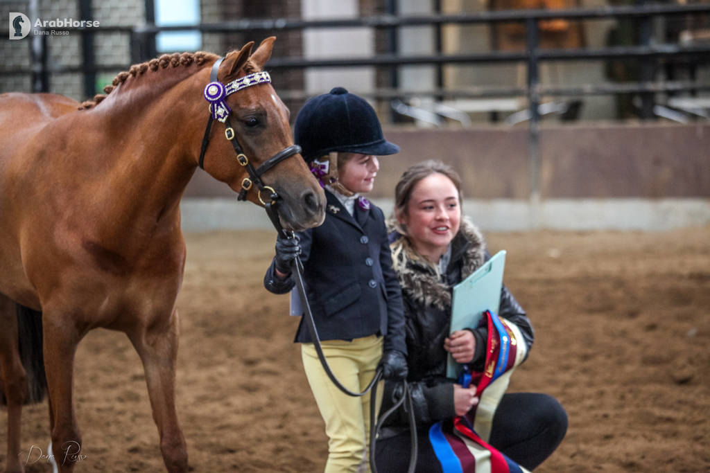 2nd Australian Arabian Youth National Championships