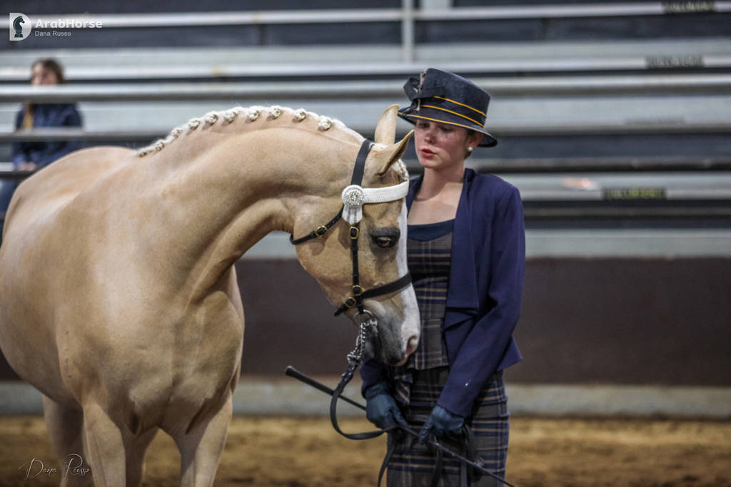 2nd Australian Arabian Youth National Championships