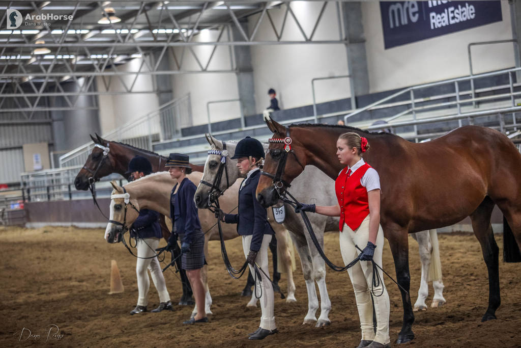 2nd Australian Arabian Youth National Championships