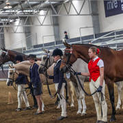 2nd Australian Arabian Youth National Championships