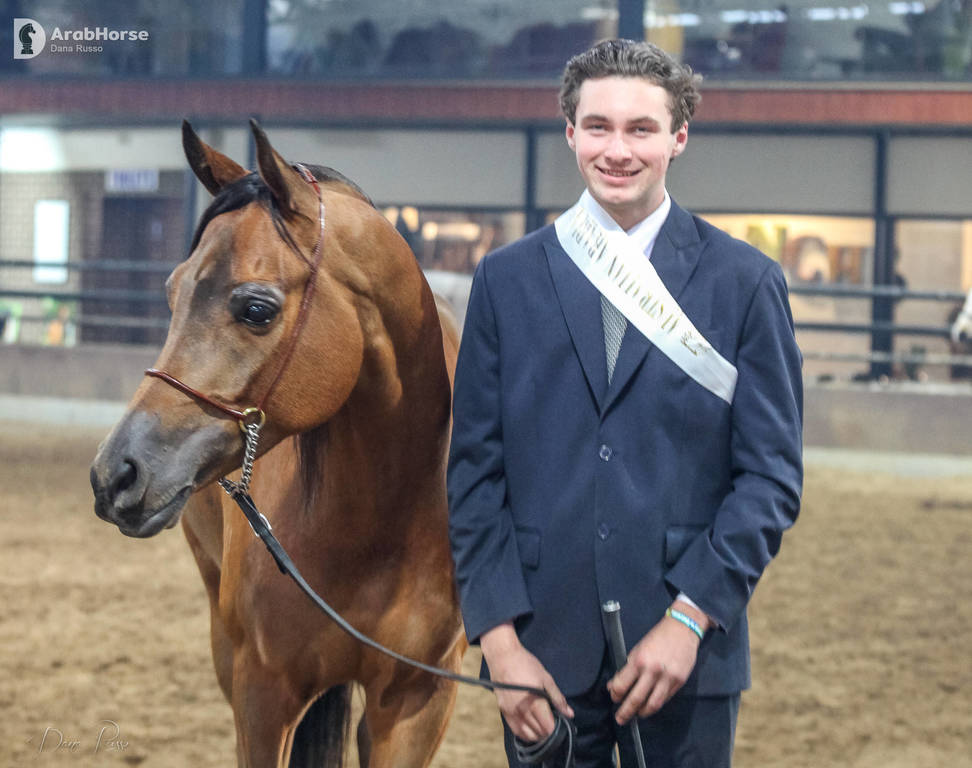 2nd Australian Arabian Youth National Championships