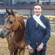 2nd Australian Arabian Youth National Championships