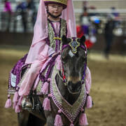 2nd Australian Arabian Youth National Championships