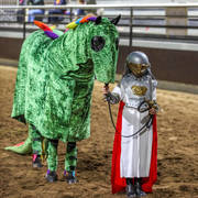 2nd Australian Arabian Youth National Championships