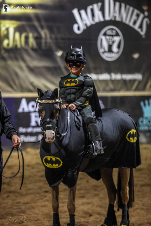 2nd Australian Arabian Youth National Championships