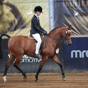 2nd Australian Arabian Youth National Championships