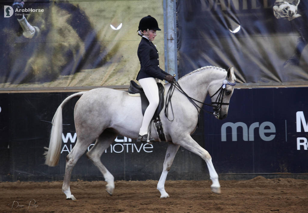 2nd Australian Arabian Youth National Championships