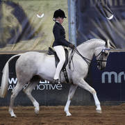 2nd Australian Arabian Youth National Championships