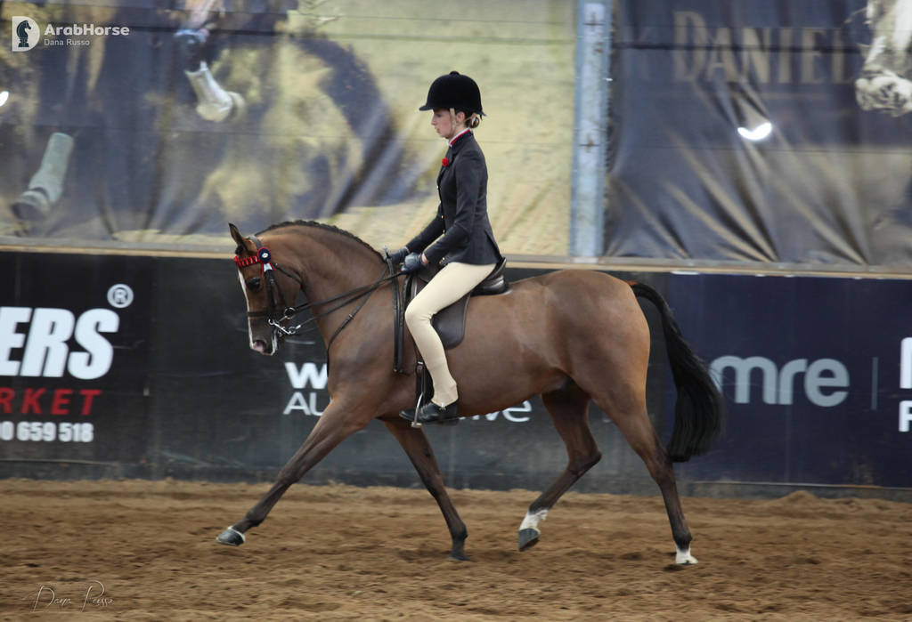 2nd Australian Arabian Youth National Championships