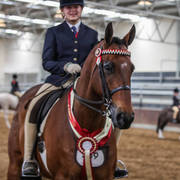 2nd Australian Arabian Youth National Championships