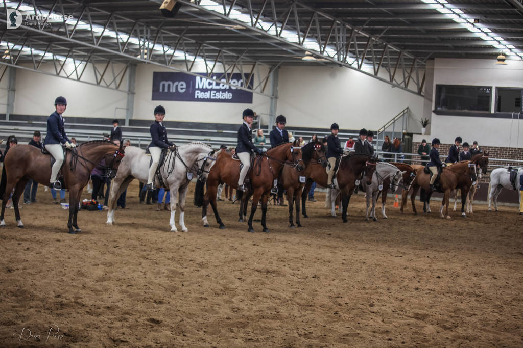 2nd Australian Arabian Youth National Championships