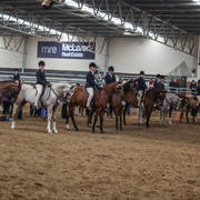 2nd Australian Arabian Youth National Championships