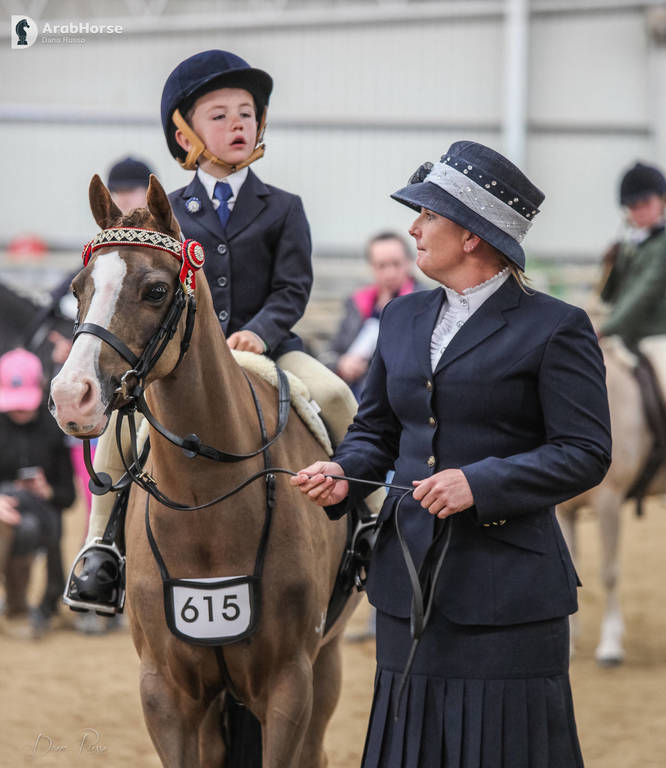 2nd Australian Arabian Youth National Championships