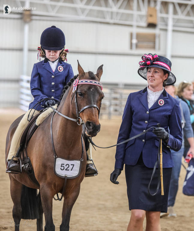 2nd Australian Arabian Youth National Championships