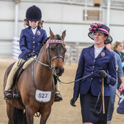 2nd Australian Arabian Youth National Championships