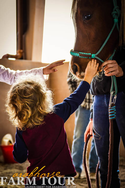 12TH ANNUAL SCOTTSDALE FARM TOUR