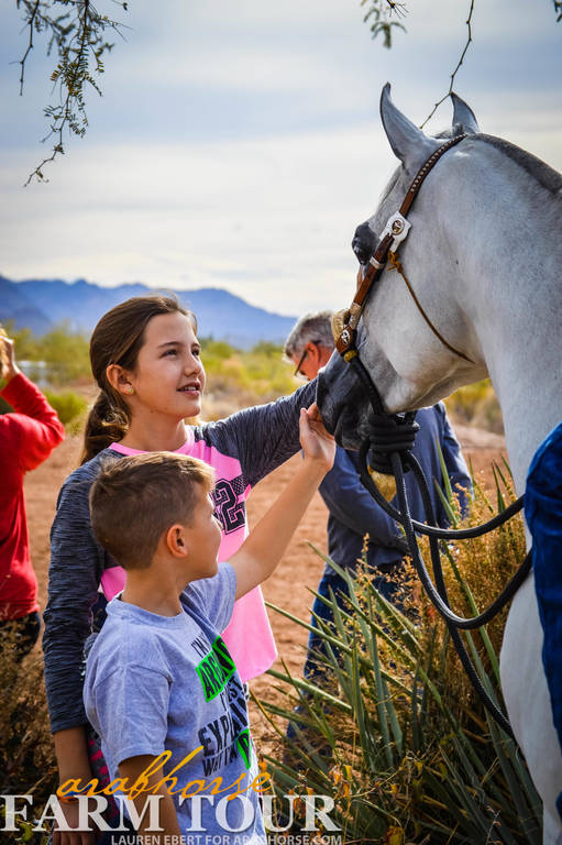 12TH ANNUAL SCOTTSDALE FARM TOUR