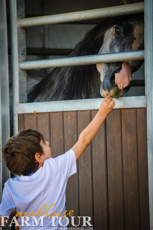 12TH ANNUAL SCOTTSDALE FARM TOUR