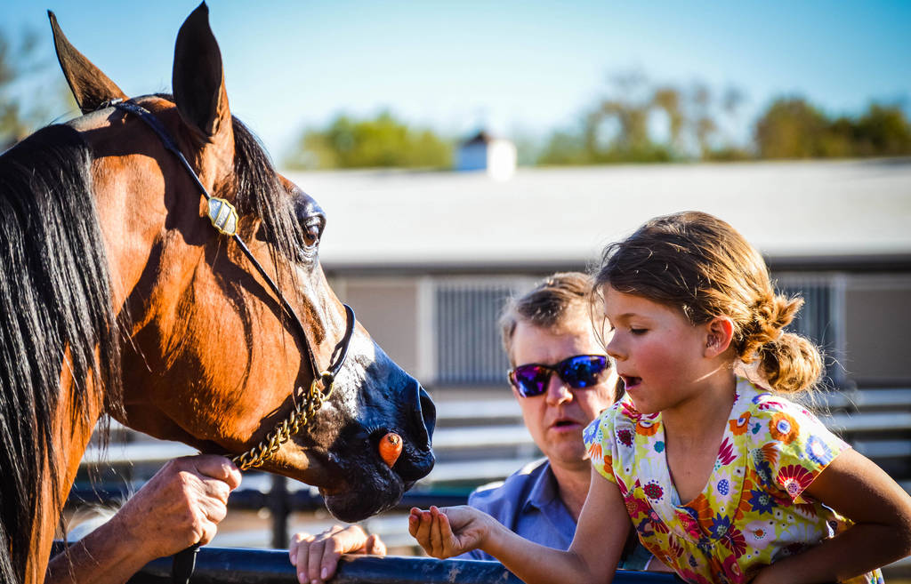 12TH ANNUAL SCOTTSDALE FARM TOUR