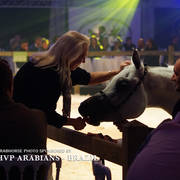 STC 2018 Auction - Schoukens Training Center