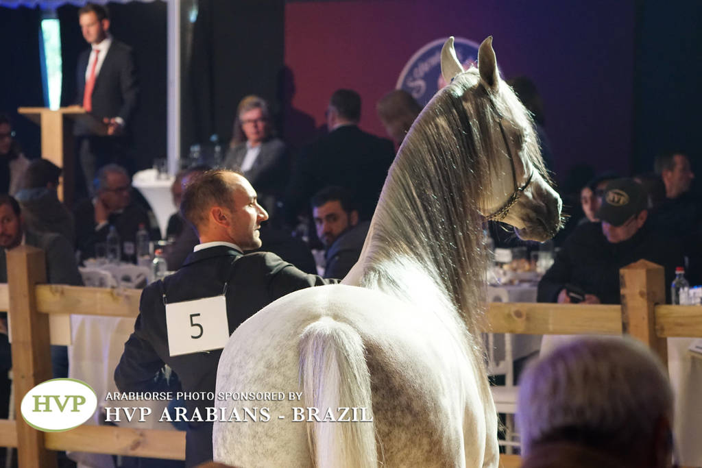 STC 2018 Auction - Schoukens Training Center