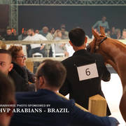 STC 2018 Auction - Schoukens Training Center