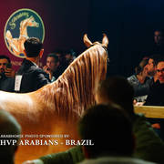 STC 2018 Auction - Schoukens Training Center