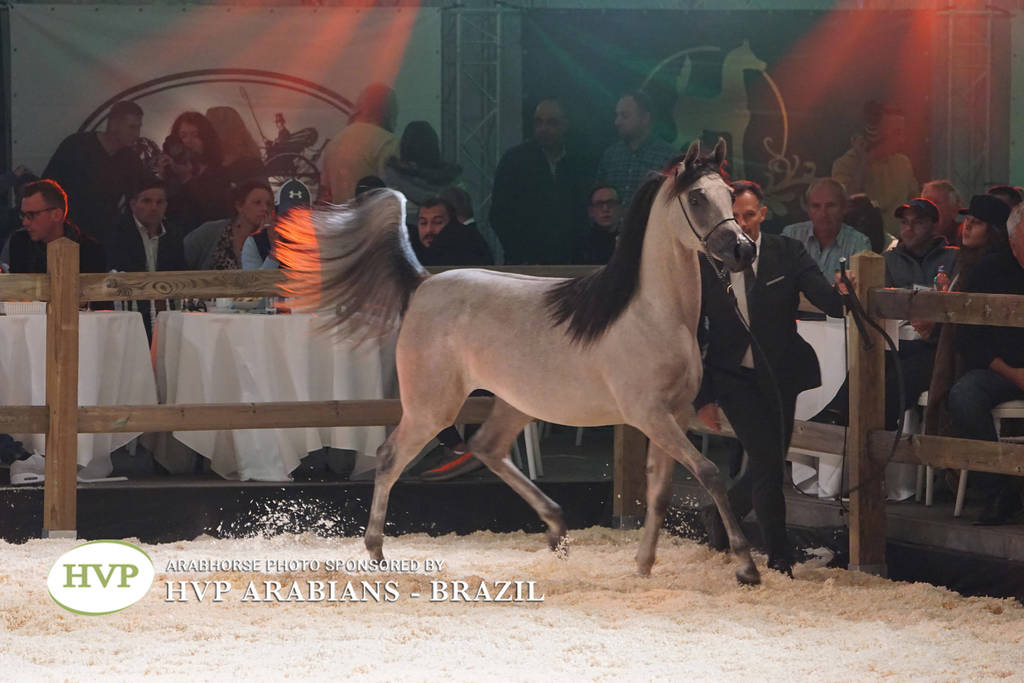 STC 2018 Auction - Schoukens Training Center