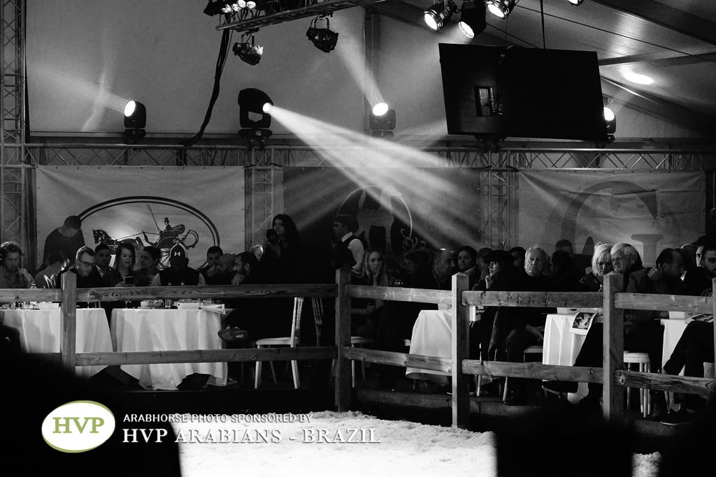 STC 2018 Auction - Schoukens Training Center