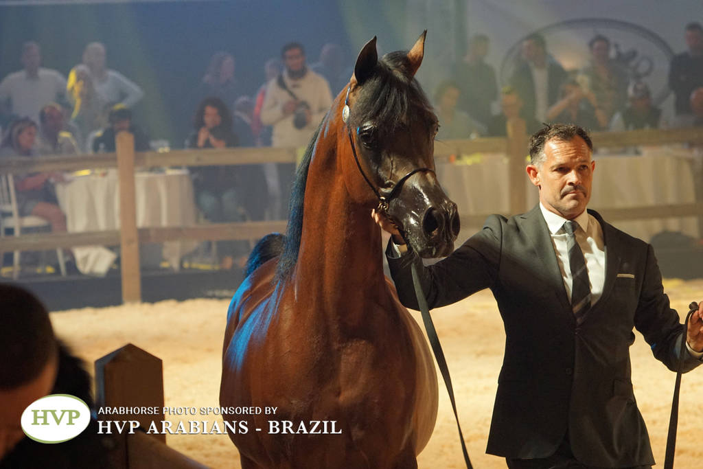 STC 2018 Auction - Schoukens Training Center