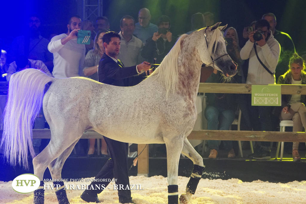 STC 2018 Auction - Schoukens Training Center