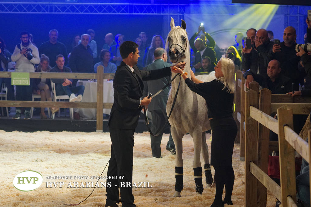 STC 2018 Auction - Schoukens Training Center