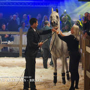 STC 2018 Auction - Schoukens Training Center