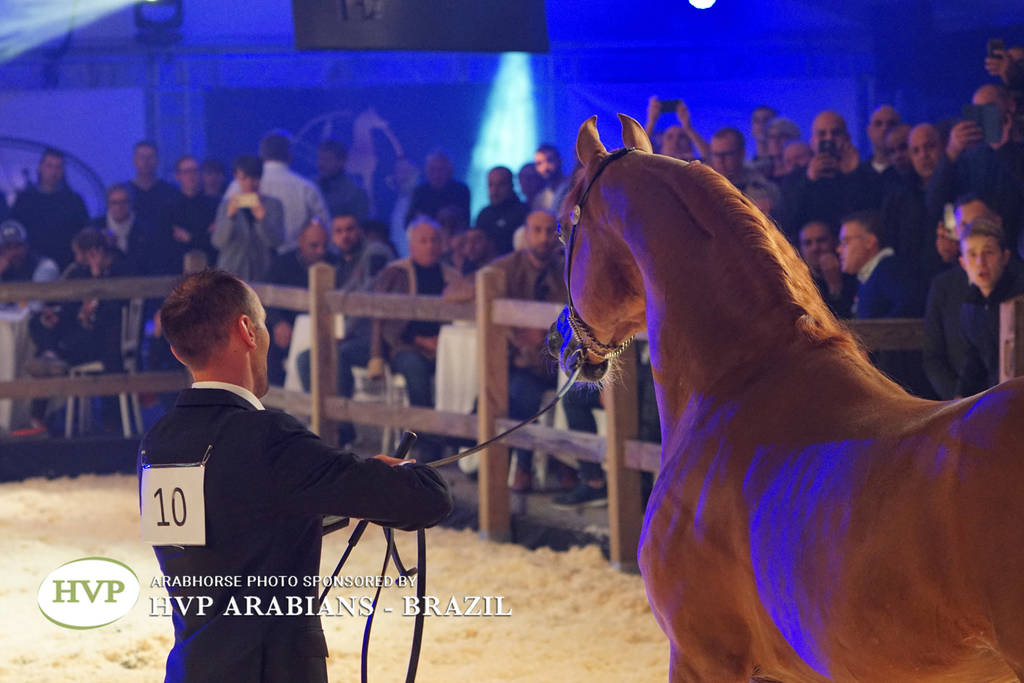 STC 2018 Auction - Schoukens Training Center