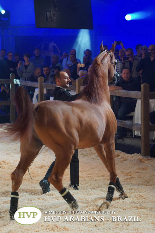 STC 2018 Auction - Schoukens Training Center