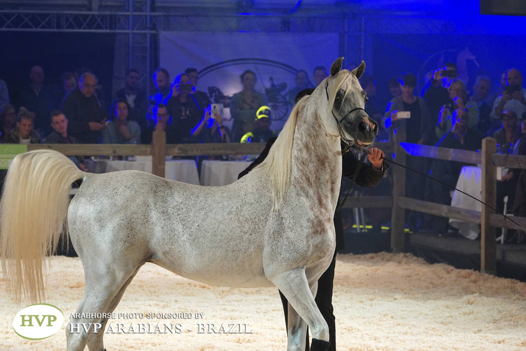 STC 2018 Auction - Schoukens Training Center