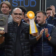 Senior Stallion Gold Champion: E.S. Harir ( AJ Dinar X TF Magnums Magic) 