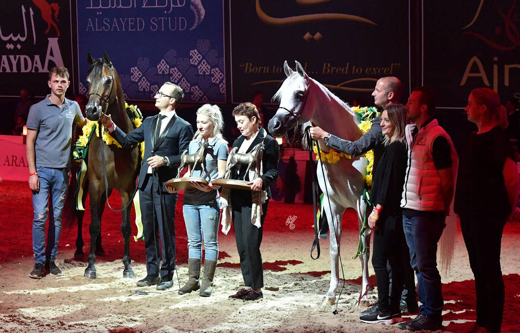 Senior Mare Champions: Pustynia Kahila and Galerida