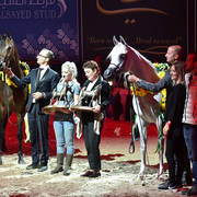 Senior Mare Champions: Pustynia Kahila and Galerida