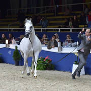 Senior Mare Bronze Champion: Galerida (Shanghai EA X Galilia)  