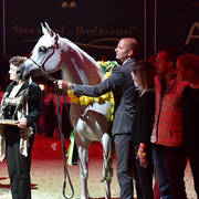 Senior Mare Bronze Champion: Galerida (Shanghai EA X Galilia)  