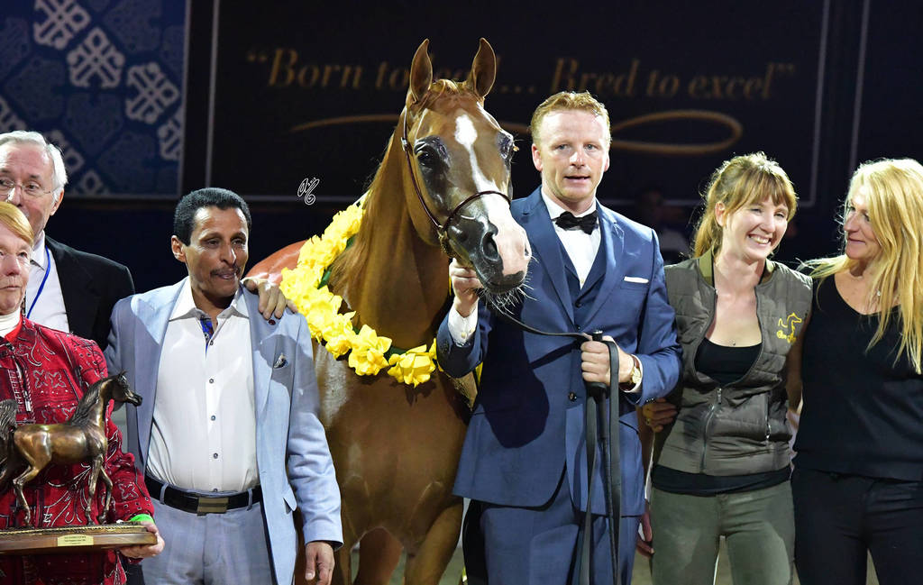 Junior Filly Gold Champion: Venice MI (Allegiance MI X Valentine MI)  