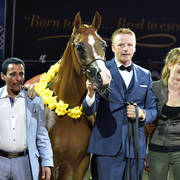 Junior Filly Gold Champion: Venice MI (Allegiance MI X Valentine MI)  