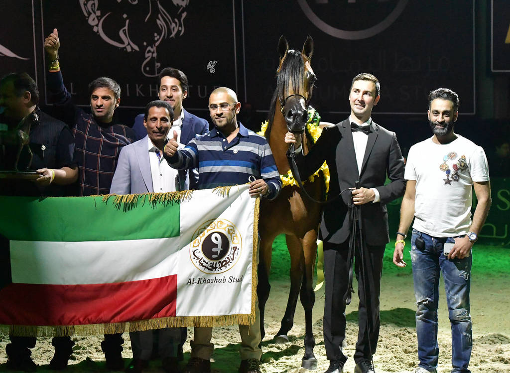 Junior Filly Silver Champion: Rshediah Alkhashab (EKS Alihandro X Symphony Of Love)   