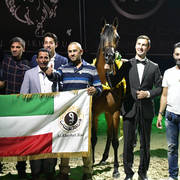 Junior Filly Silver Champion: Rshediah Alkhashab (EKS Alihandro X Symphony Of Love)   