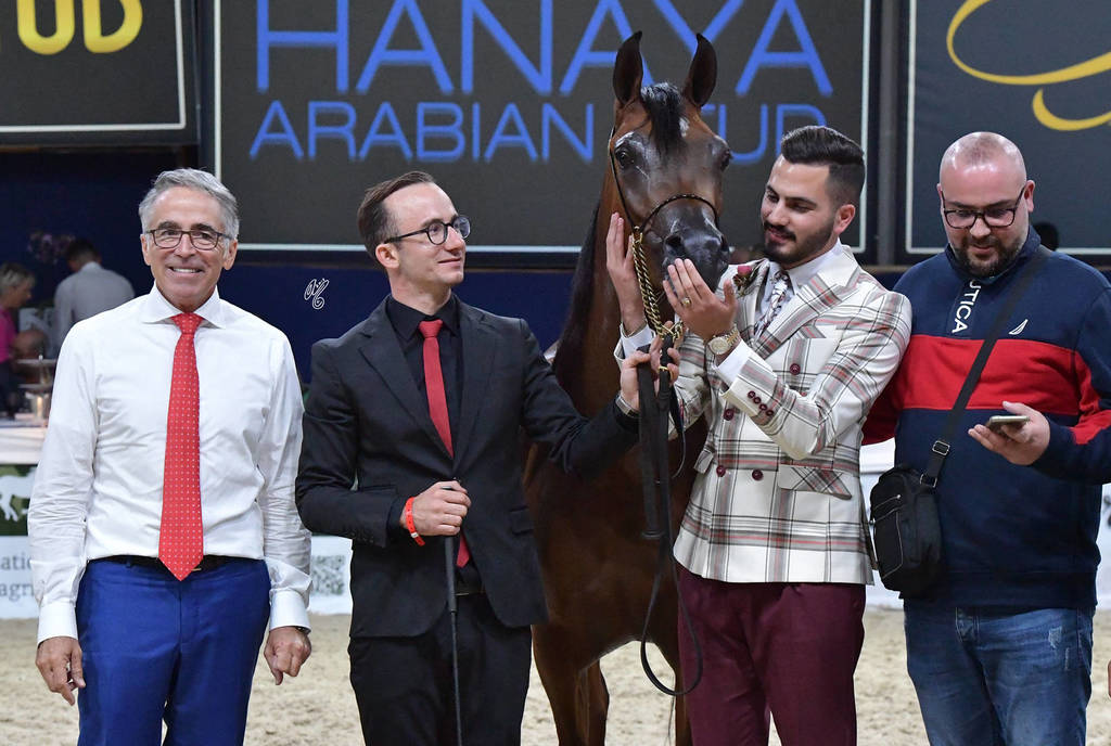 Junior Filly Bronze Champion: Seranza (Kanz Albidayer X Evening Serenade)  